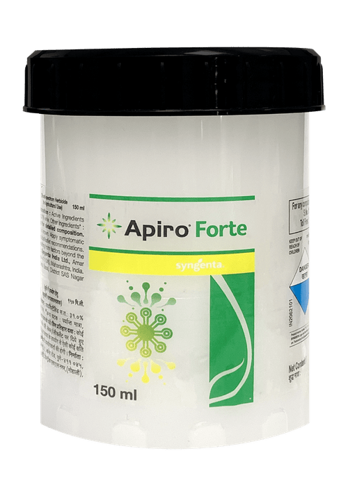 Apiro Forte