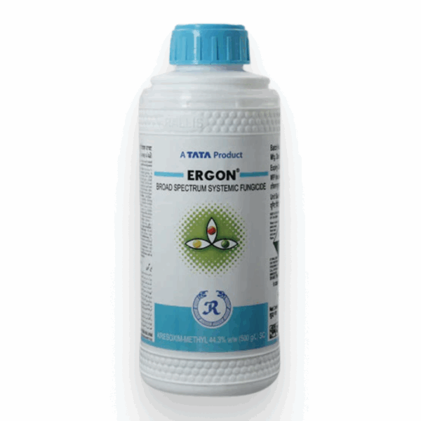 Ergon Fungicide