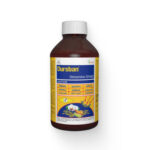 Dursban Insecticide (Chlorpyriphos 20% EC)
