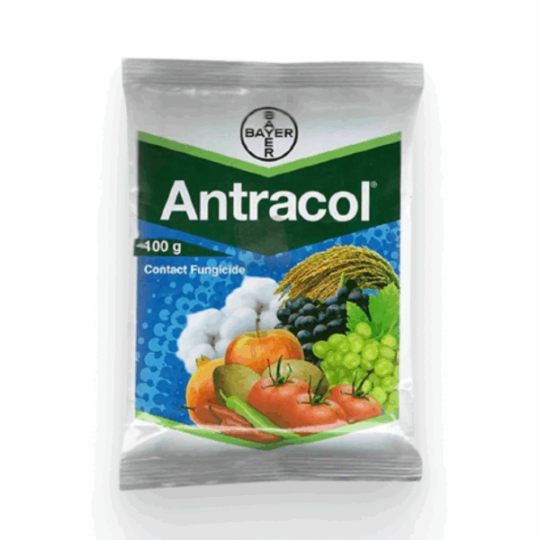 Antracol Fungicide