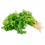 Kitchen Garden coriander seeds