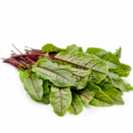 Kitchen Garden Red Vein Sorrel Seeds