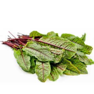 Kitchen Garden Red Vein Sorrel Seeds