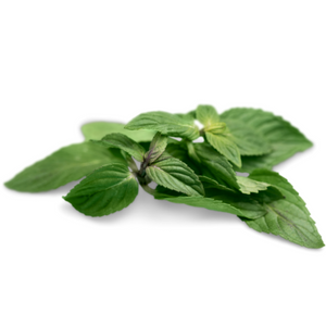 Kitchen Garden Mint seeds