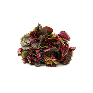 Kitchen Garden Red Amaranth Seeds