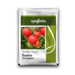 Saahoo To 3251 Tomato Seeds